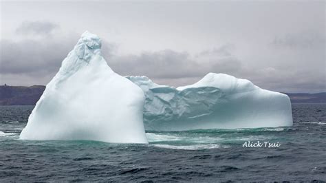 Icebergs near Newfoundland coast - Newfoundland & Labrador - CBC News