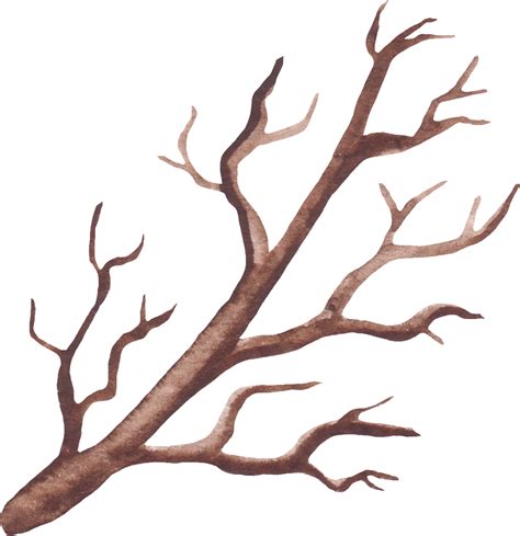 #twig - Illustration Clipart - Full Size Clipart (#5460594) - PinClipart