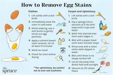 How to Remove Egg Stains From Clothes and Carpet