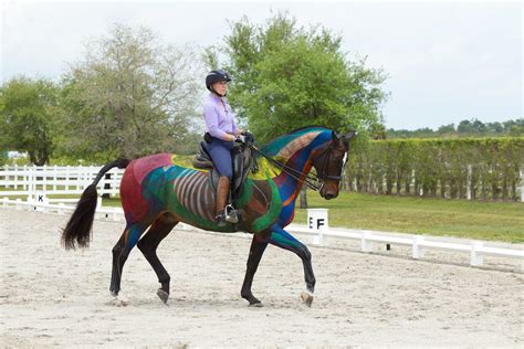 Dressage Movements Revealed Video Trailer - Masterson Method