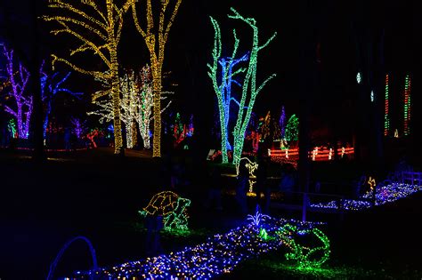 Bubba's Garage: Enjoying Meadowlark Gardens' Winter Walk of Lights