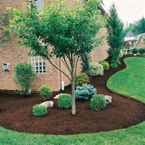 Brown Mulch Jacksonville FL | Bulk or Bagged | Delivery