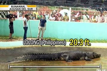 News Updates: Crocodile 'Lolong' is dead