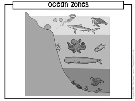 Ocean Zones Diagram | Made By Teachers