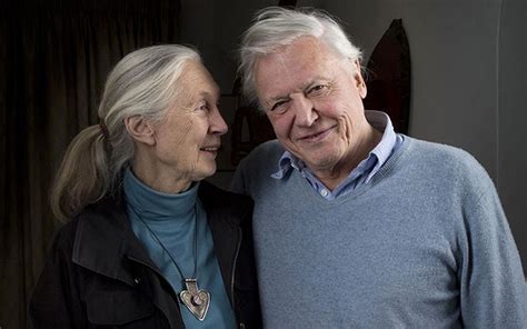 David Attenborough Children / Richard Attenborough dead: From Brighton ...