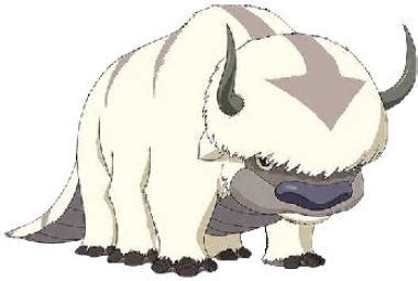 Appa en Momo | Avatar Wiki | FANDOM powered by Wikia