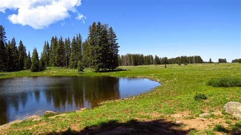 JIM THE TRUCK: Grand Mesa National Forest - A Great Place to Fix a ...