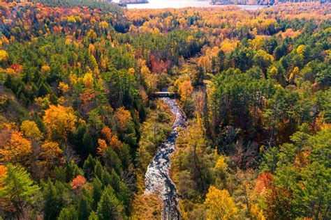 The Northeast’s Fall Foliage May Not Be As Vibrant This Year