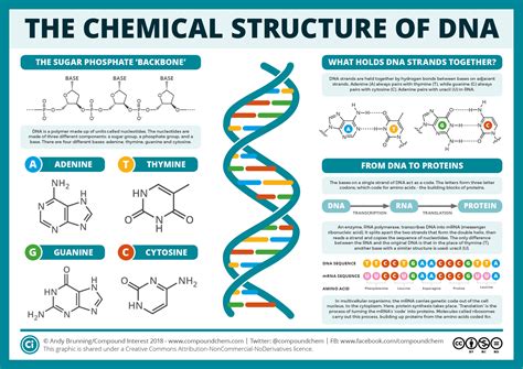 What is a DNA? An Introduction