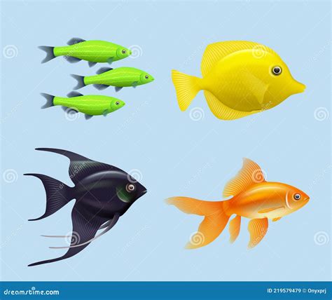 Exotic Fishes. Realistic Underwater Life Aquarium Drawing Colored ...