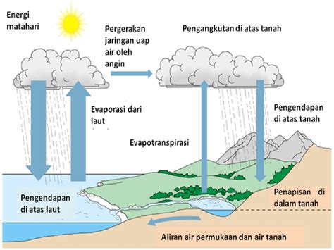 Siklus Air Dan Penjelasannya Evaporasi Tumbuhan Imagesee - Riset