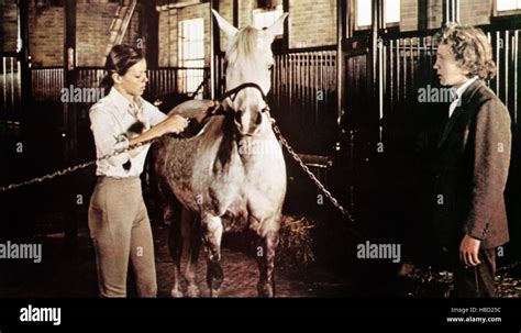 EQUUS, from left: Jenny Agutter, Peter Firth, 1977 Stock Photo - Alamy