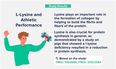 L-Lysine Benefits: From Anxiety to Muscle Growth - The Nutrition Insider