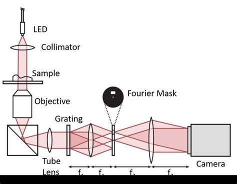 Diffraction Phase Microscopy Setup | Download Scientific Diagram