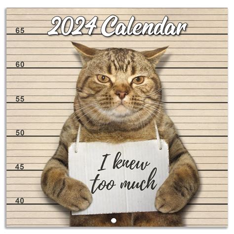 Buy 2024 Wall - Funny Cat 2024, January 2024 - December 2024, Wall Gag ...