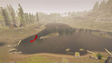 The Forest Cave Locations (Complete Map Guide)- NeuralGamer