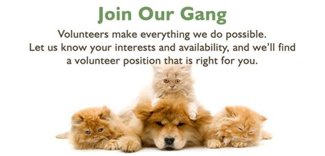 Volunteer – Humane Society of Rome