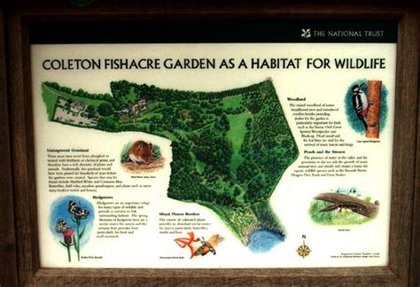 Coleton Fishacre Gardens - England - Gardens, Parks, Squares and Open ...