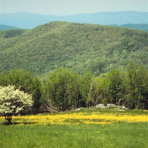 Camping at Shenandoah River State Park | Getaway Tips