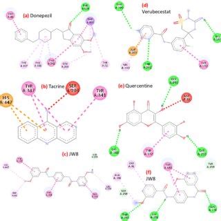 Structures of dual AChE and BuChE inhibitors. | Download Scientific Diagram