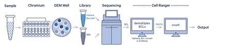 What is Cell Ranger? - Official 10x Genomics Support