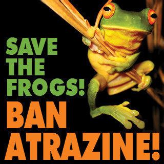 Petition · Save The Frogs, Ban Atrazine! · Change.org