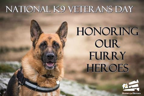 National K9 Veterans Day: Honoring Our Furry Heroes-HFH