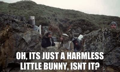 Oh, it's just a harmless little bunny, isn't it? | Monty python rabbit ...