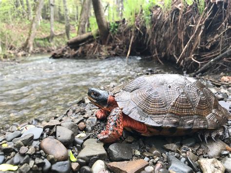 June Feature: With a deep sense of place, Tennessee Aquarium advocates ...