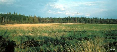 Koyukuk National Wildlife Refuge | National Wildlife Refuges