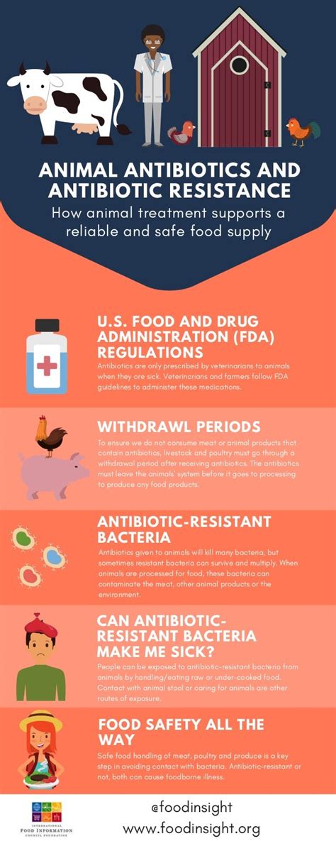 Animal Antibiotics and Antibiotic Resistance