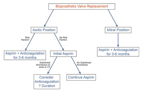 Anticoagulation Strategies After Bioprosthetic Valve Replacement: What ...