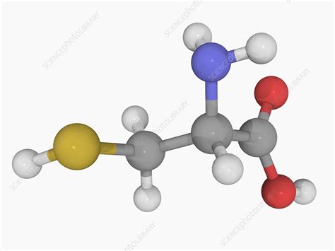 Cysteine molecule - Stock Image - F004/6283 - Science Photo Library