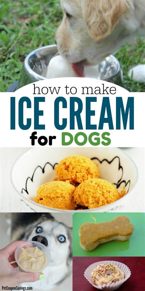 10 Dog Ice Cream Recipes to Keep Your Dog Cool - Pet Coupon Savings ...