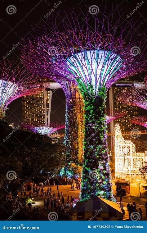 SINGAPORE: Supertrees Illuminated for Light Show in Gardens by the Bay ...