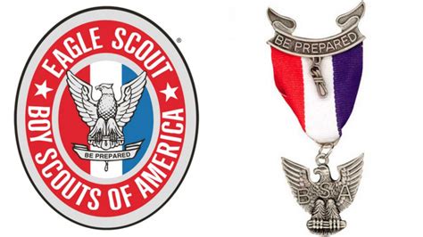 Franklin Boy Scout Achieves Eagle Rank - Williamson Source