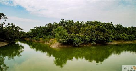 Sundarbans National Park - Best Time To Visit | Indian National Parks ...