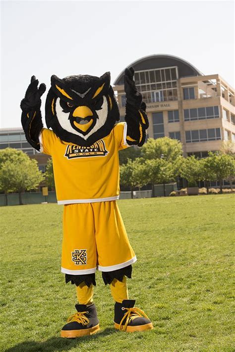 Meet Scrappy the Owl, the Mascot of Kennesaw State University