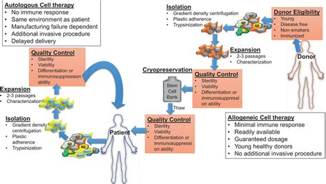 Allogeneic Cell Therapy | Circulation Research