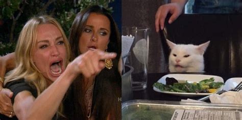 Meme: Two women scream at the puzzled cat at the table | HybridTechCar