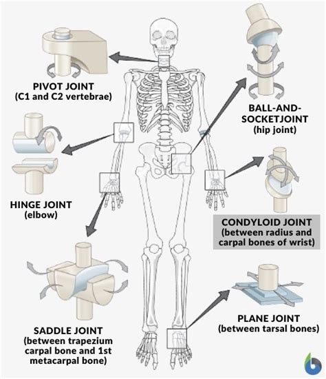 Mechanical Pivot Joint Examples