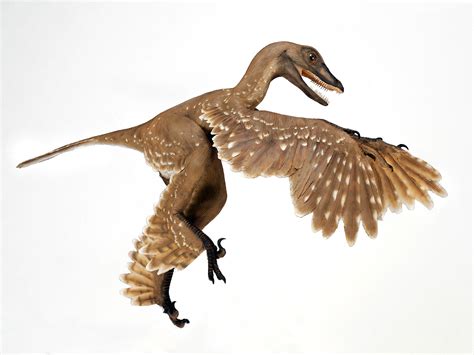 11 Terrifying Dinosaurs That Rocked Feathers Better Than Birds | Audubon