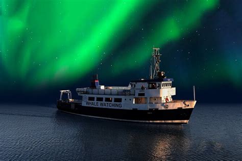 Reykjavik Northern Lights Viewing Evening Boat Tour 2024