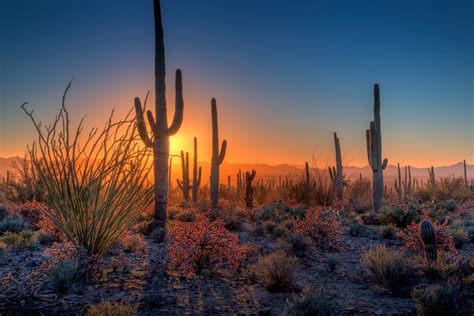 Sunset in Saguaro National Park - Off the Beaten Path