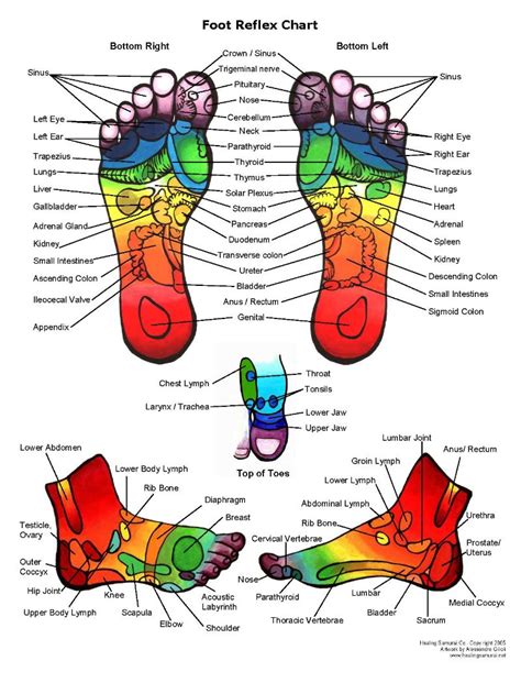 Reflexology Chart – Feet