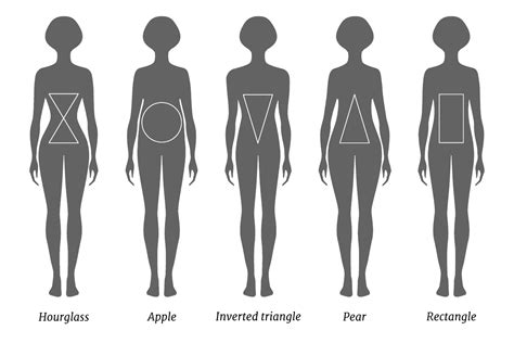 Body Shape Calculator - What Body Type Are You? - Inch Calculator