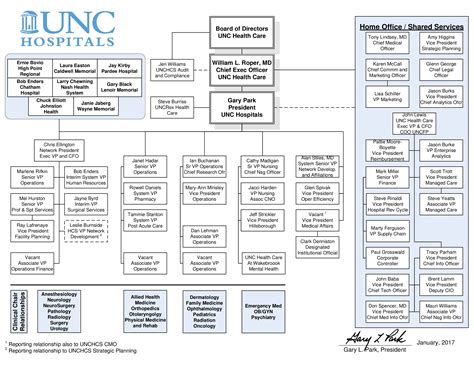 Large Hospital Organizational Chart - How to create a Large Hospital ...