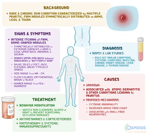 Prurigo: What Is It, Causes, Signs, Symptoms and More | Osmosis