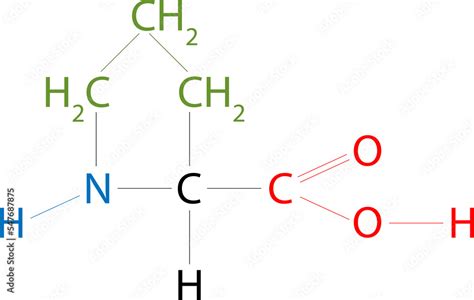 The structure of Proline. Proline is an organic acid classed as a ...