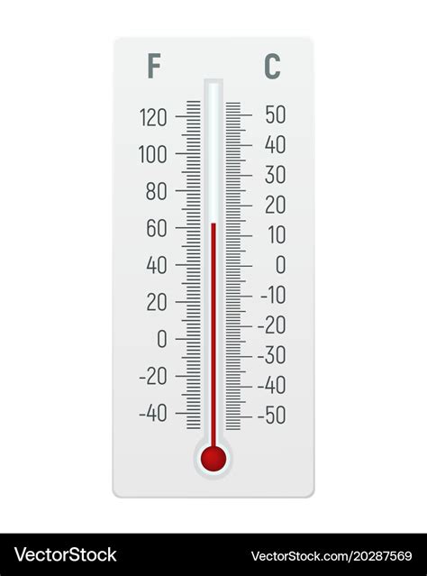 Thermometer in degrees celsius and fahrenheit Vector Image